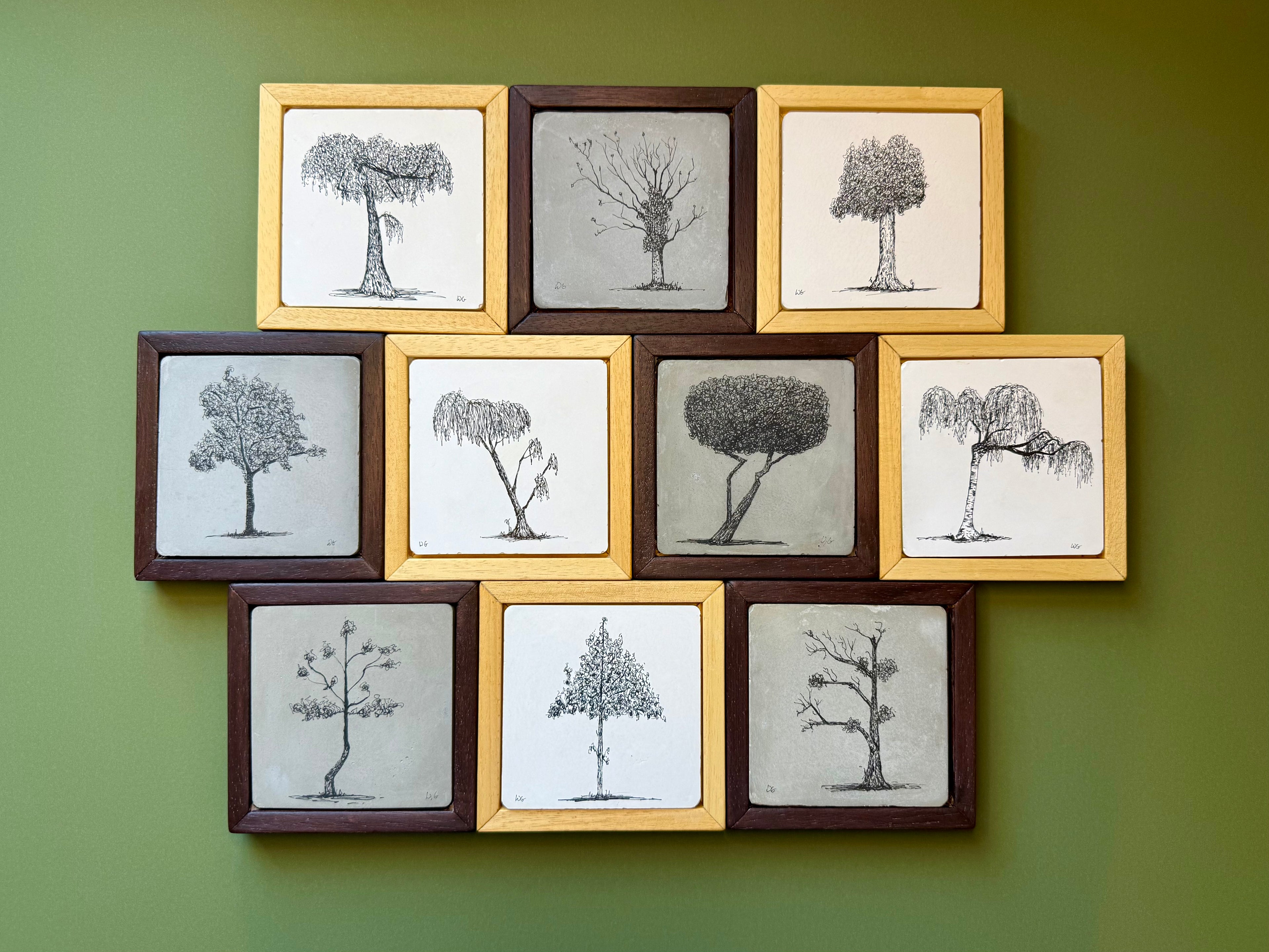 Collage of framed black and white tree illustrations on a green wall.