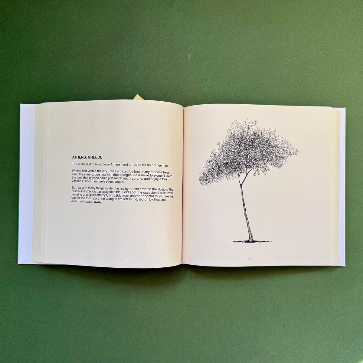 An open book laid flat on a solid green background, showing a cream-colored interior spread with printed text on the left page and a minimalist black line drawing of a tree on the right page.