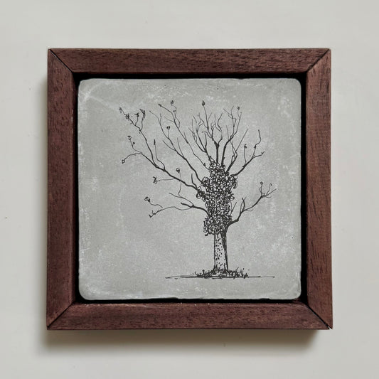 Original ink drawing of a bare winter tree with ivy on a cement tile in dark wooden frame by Warren Drawing Trees.