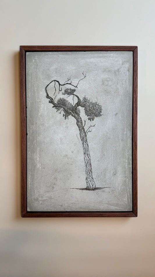 Athens Tree – Framed Cement Tile Drawing