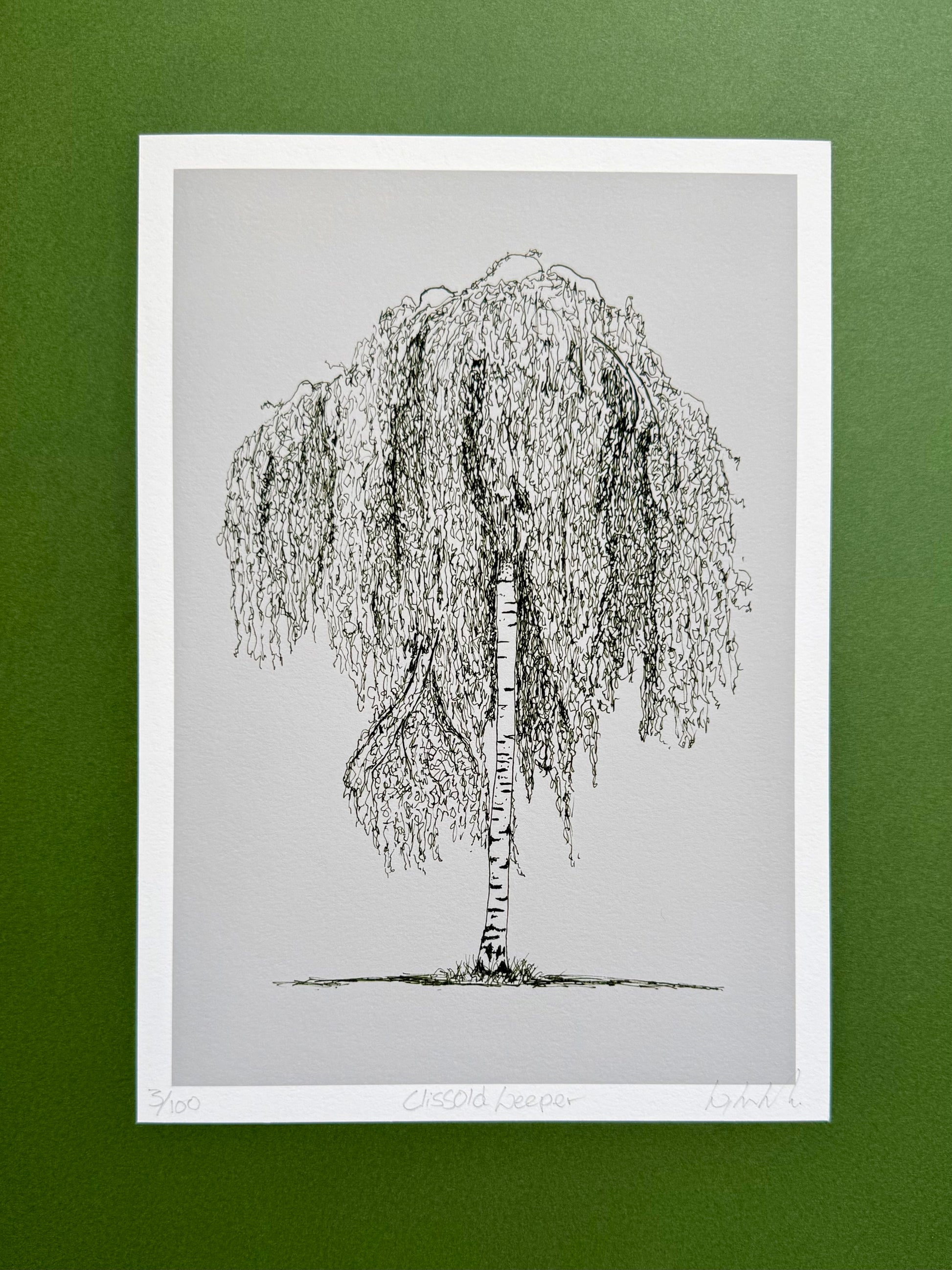 A black and white ink drawing of a weeping tree on a light gray paper sheet with a white border, displayed against a solid green background.