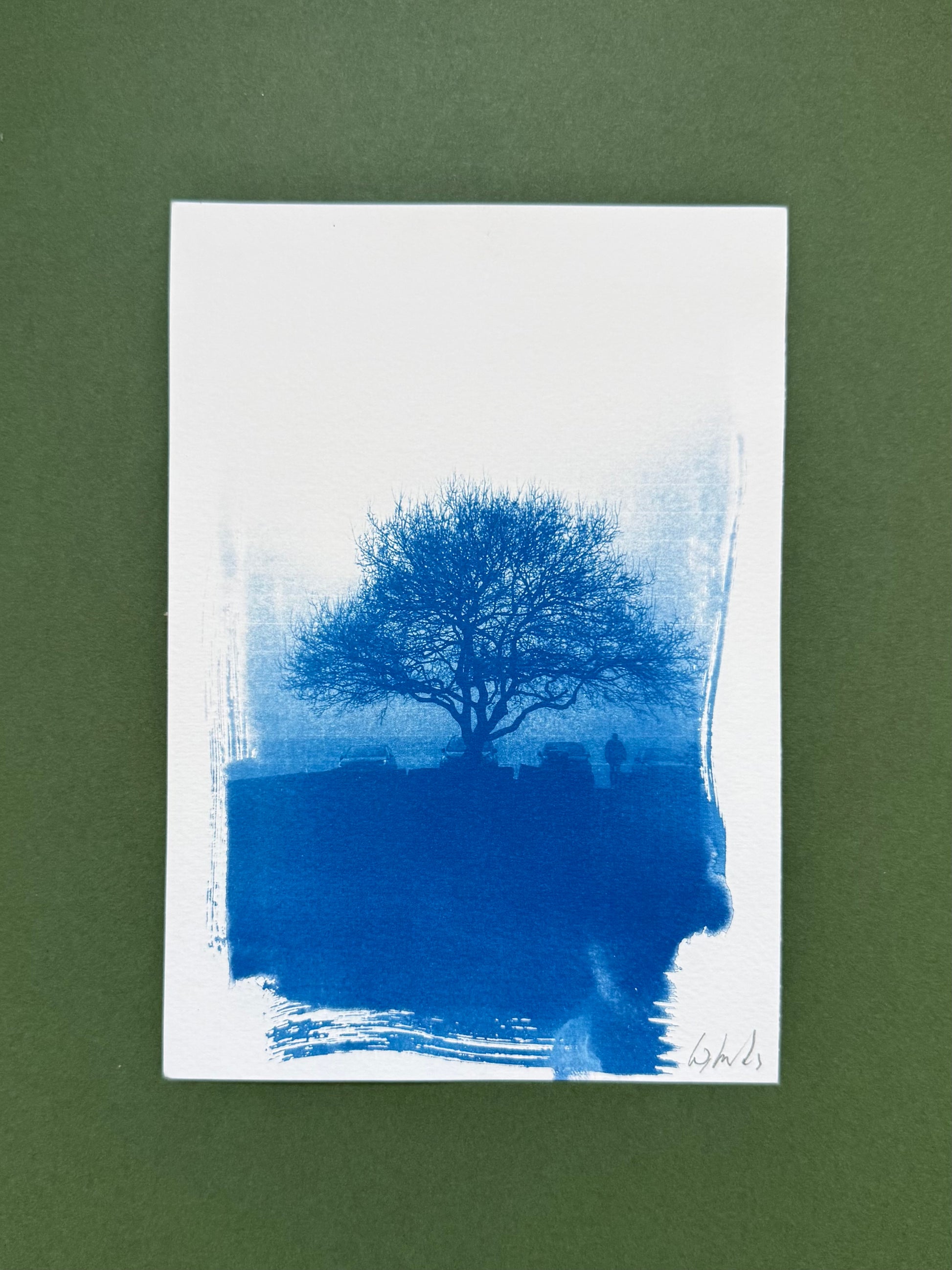 Original blue-and-white A5 cyanotype of a bare hawthorn on a misty morning at Lickey Hills, signed by Warren Garland.