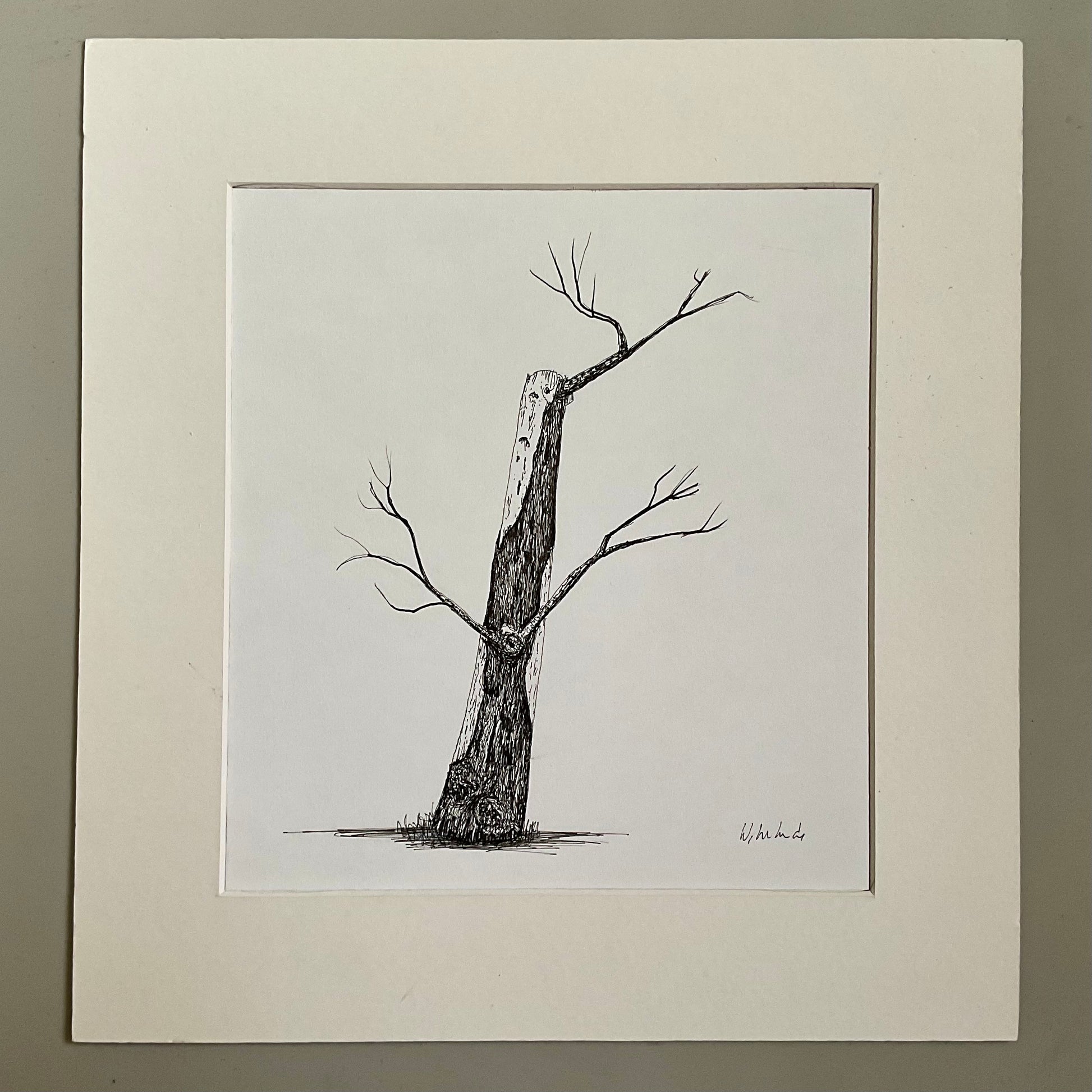 Original ink drawing of a weathered tree trunk with crooked branches, drawn in fine black pen on white paper, displayed in a cream mount.