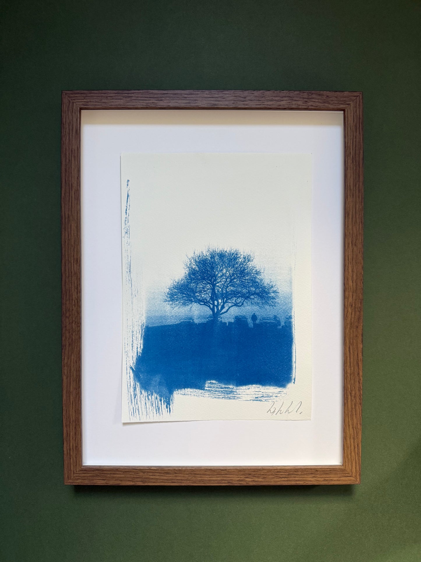 
A4 Lickey Hills Hawthorn cyanotype displayed with a white mount in a dark wooden frame.