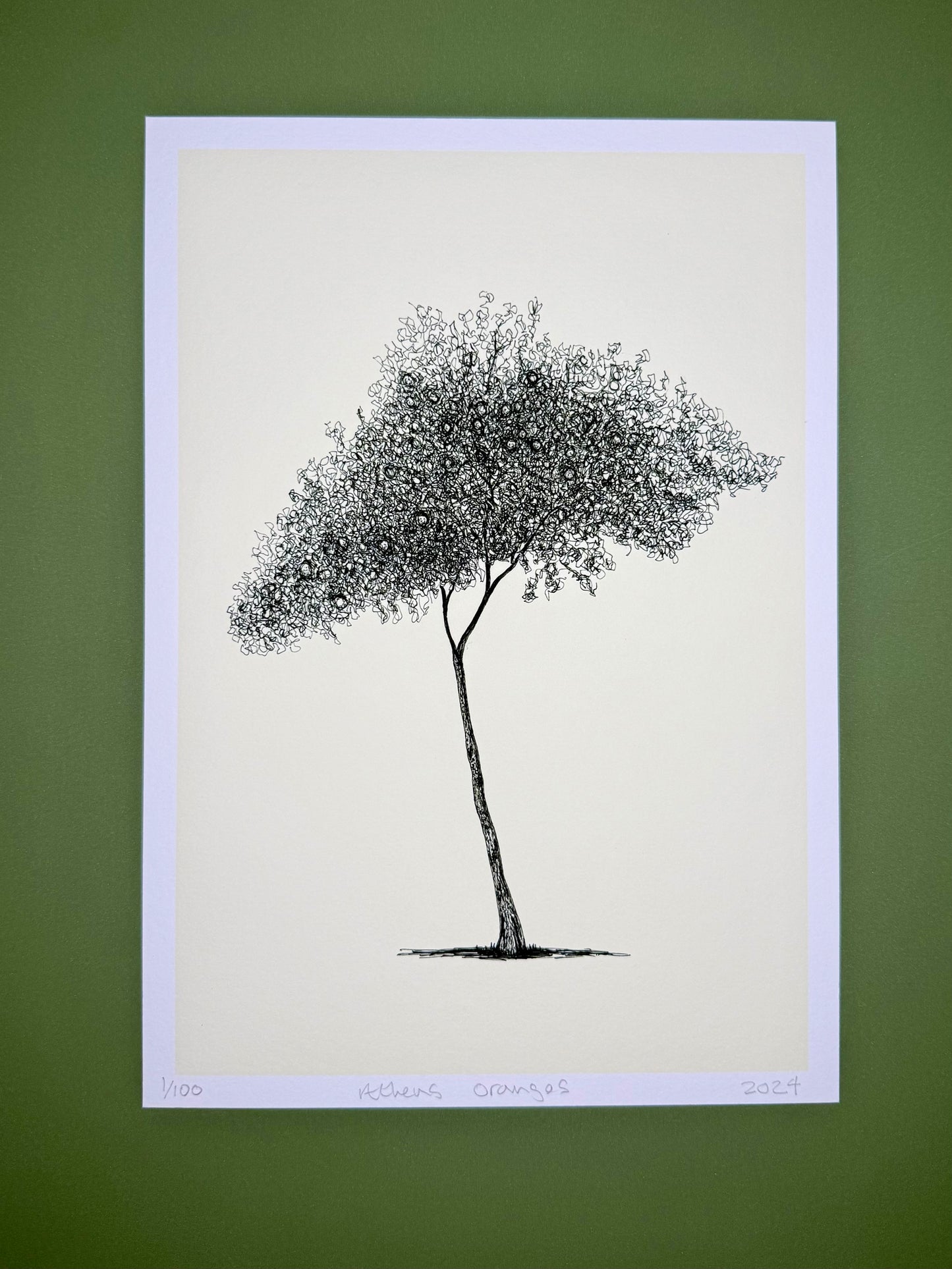 Athens Orange Tree – A4 Limited Edition Giclée Print