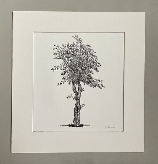 Halesowen Hawthorn – Original Ink Drawing