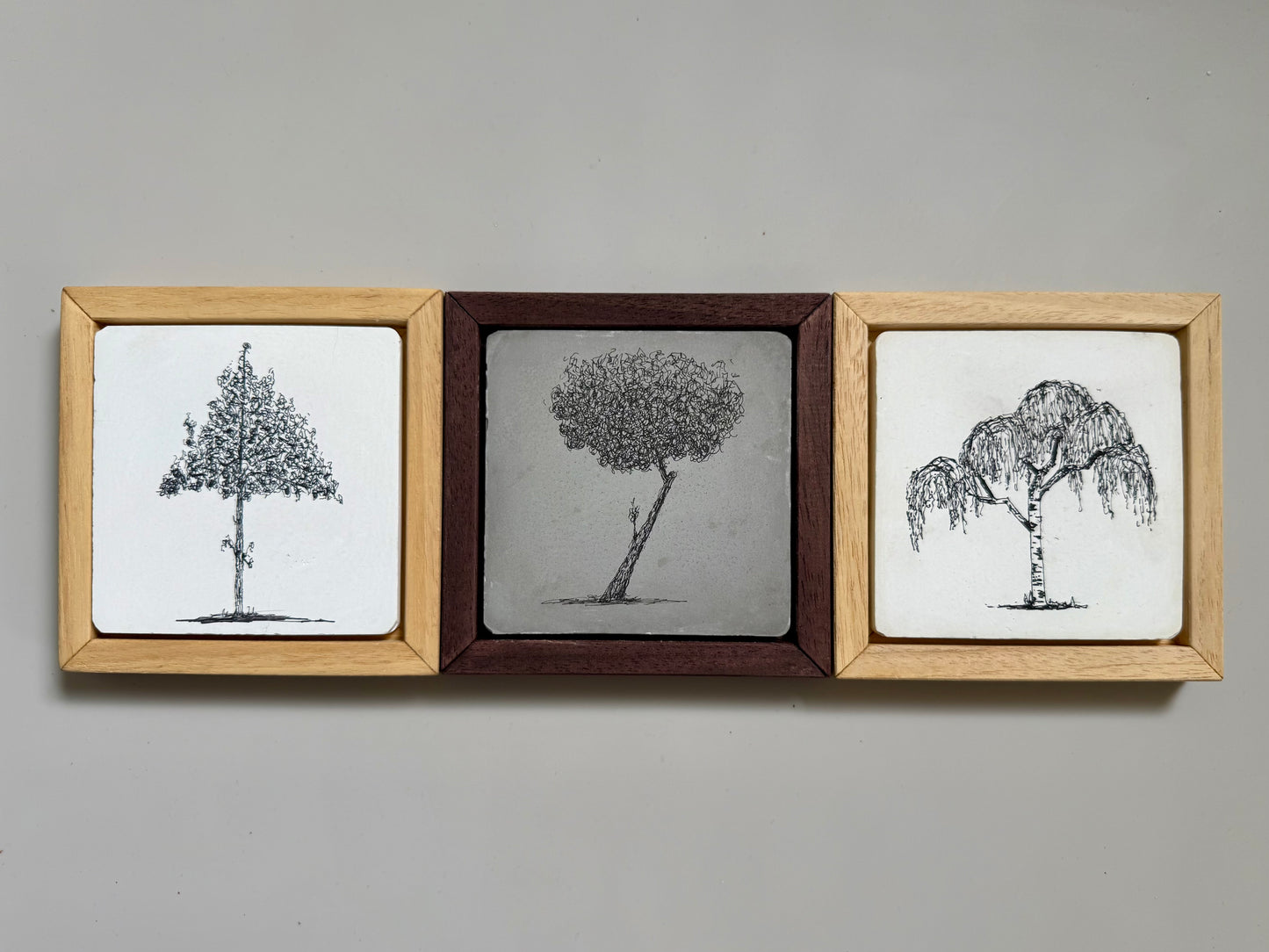 Original ink drawing of a leaning tree on cement tile in a dark wooden frame by Warren Drawing Trees.