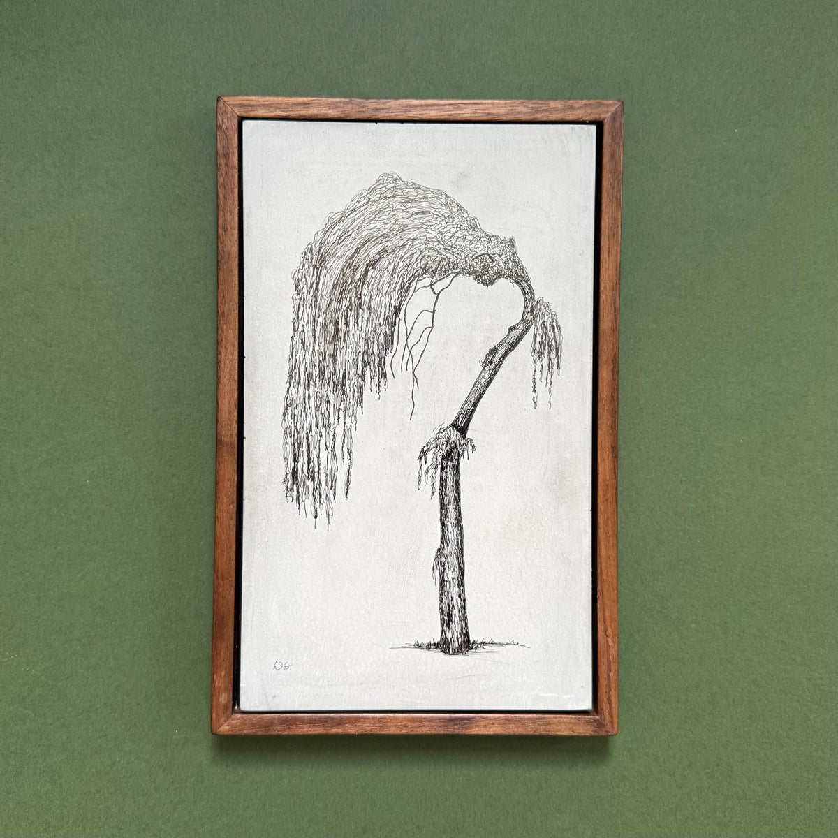 Original ink drawing of a Dalston willow tree on a handmade cement slab, displayed in a walnut frame against a green background.