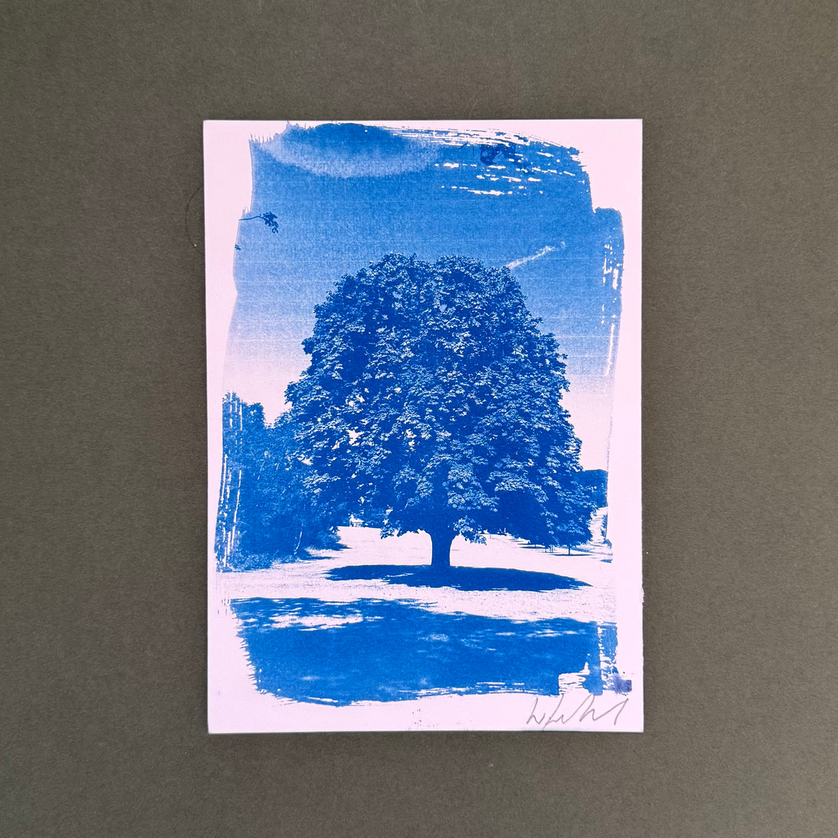 A vertical art print featuring a blue ink cyanotype of a tree with a blue sky and ground reflection, mounted on a dark gray textured background.