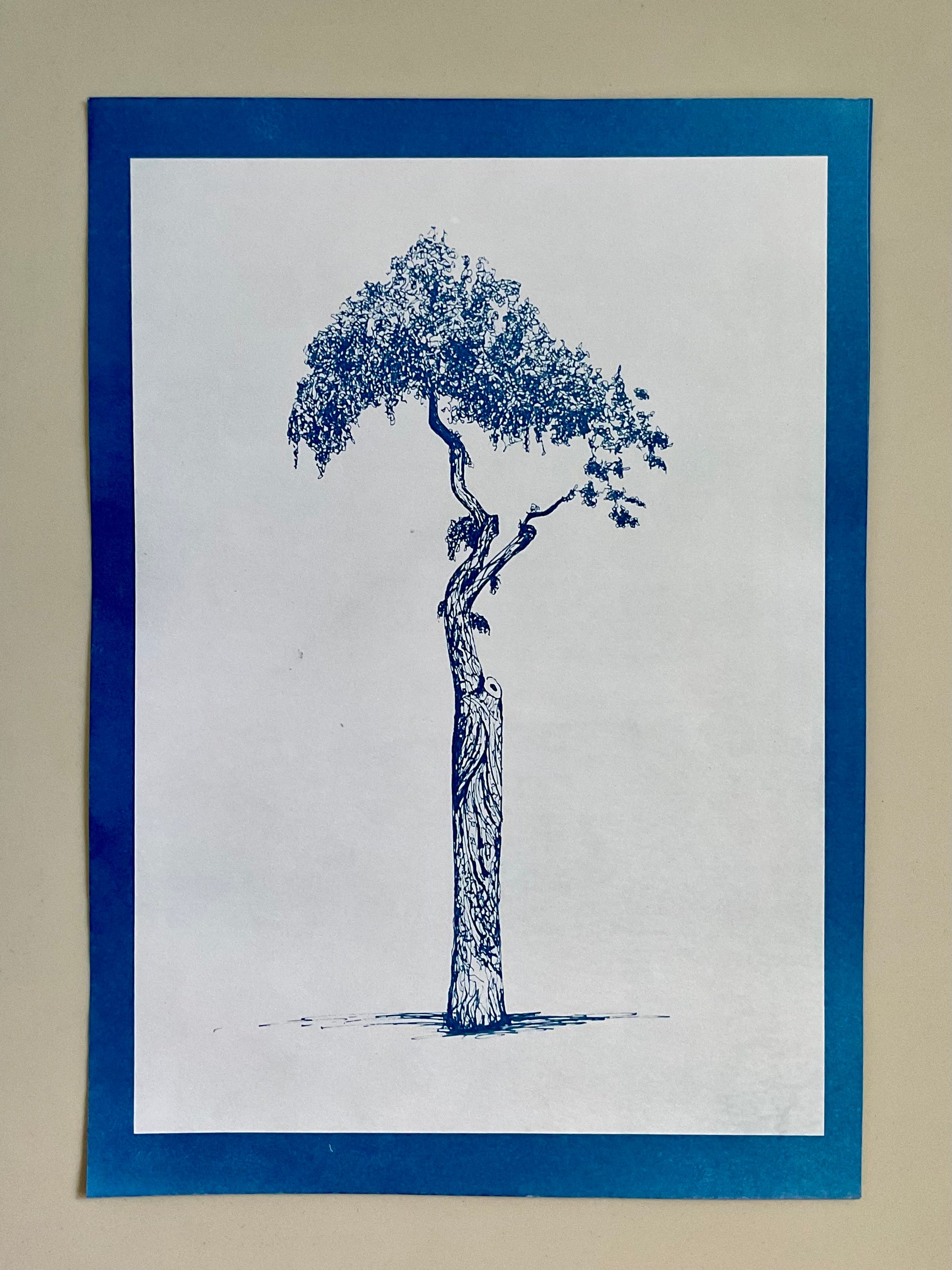 Framed cyanotype of the Athens Parasol Tree in positive — a deep blue tree on a light background, handmade using traditional sun-exposed cyanotype printing.