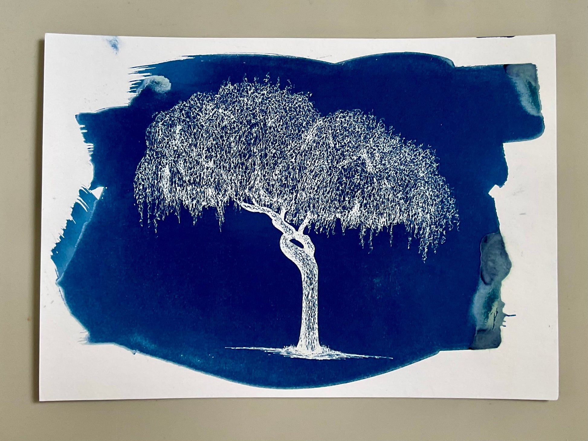 Original A4 cyanotype print of a finely detailed weeping tree in deep blue, hand-printed on watercolour paper with expressive brush edges.