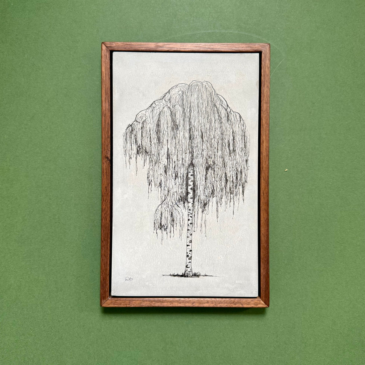 Original ink drawing of a cascading birch tree in Clissold Park on cement, displayed in a solid black walnut frame against green.