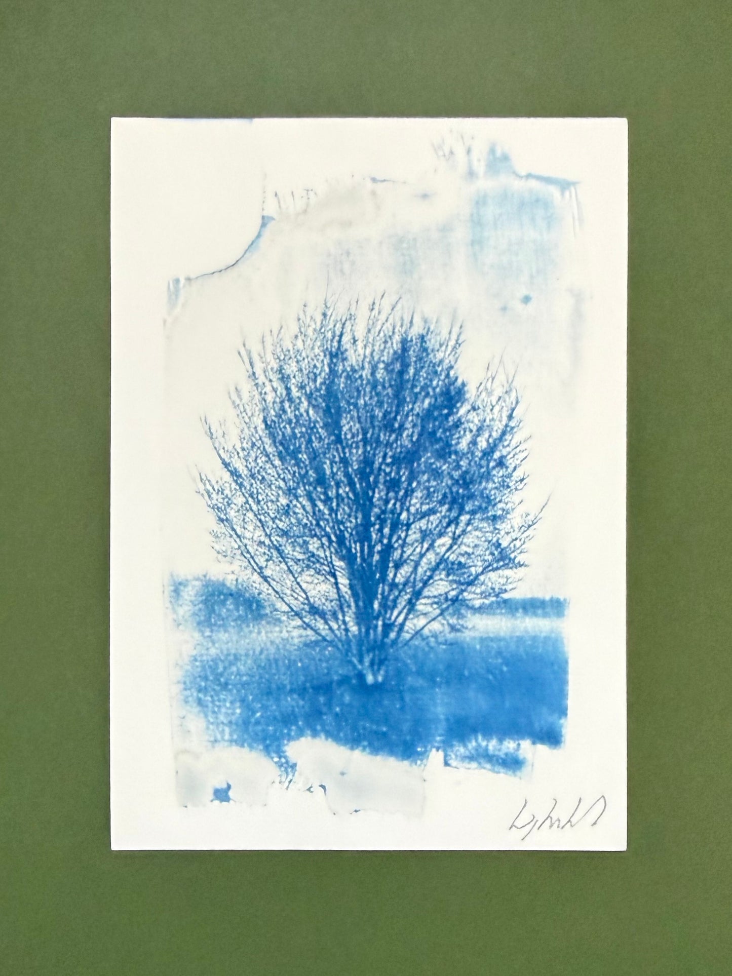 Original blue-and-white A5 cyanotype of a solitary branching tree at Hackney Marshes, signed by Warren Garland.