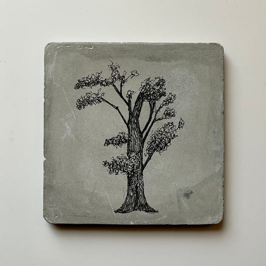 Original ink tree drawing on a square grey cement tile with branching canopy and fine-line detail.
