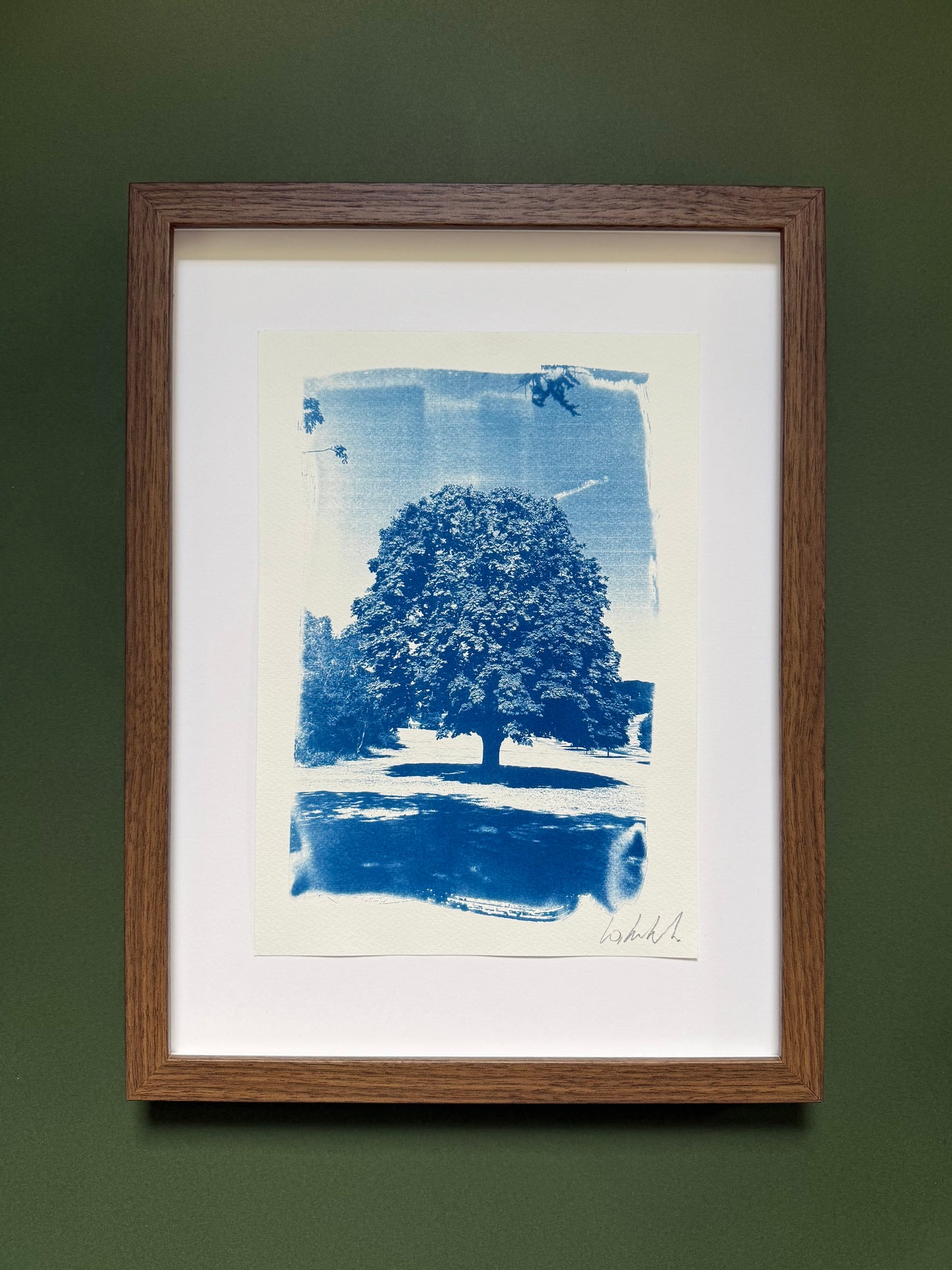 A4 Warley Woods cyanotype displayed with a white mount in a dark wooden frame.