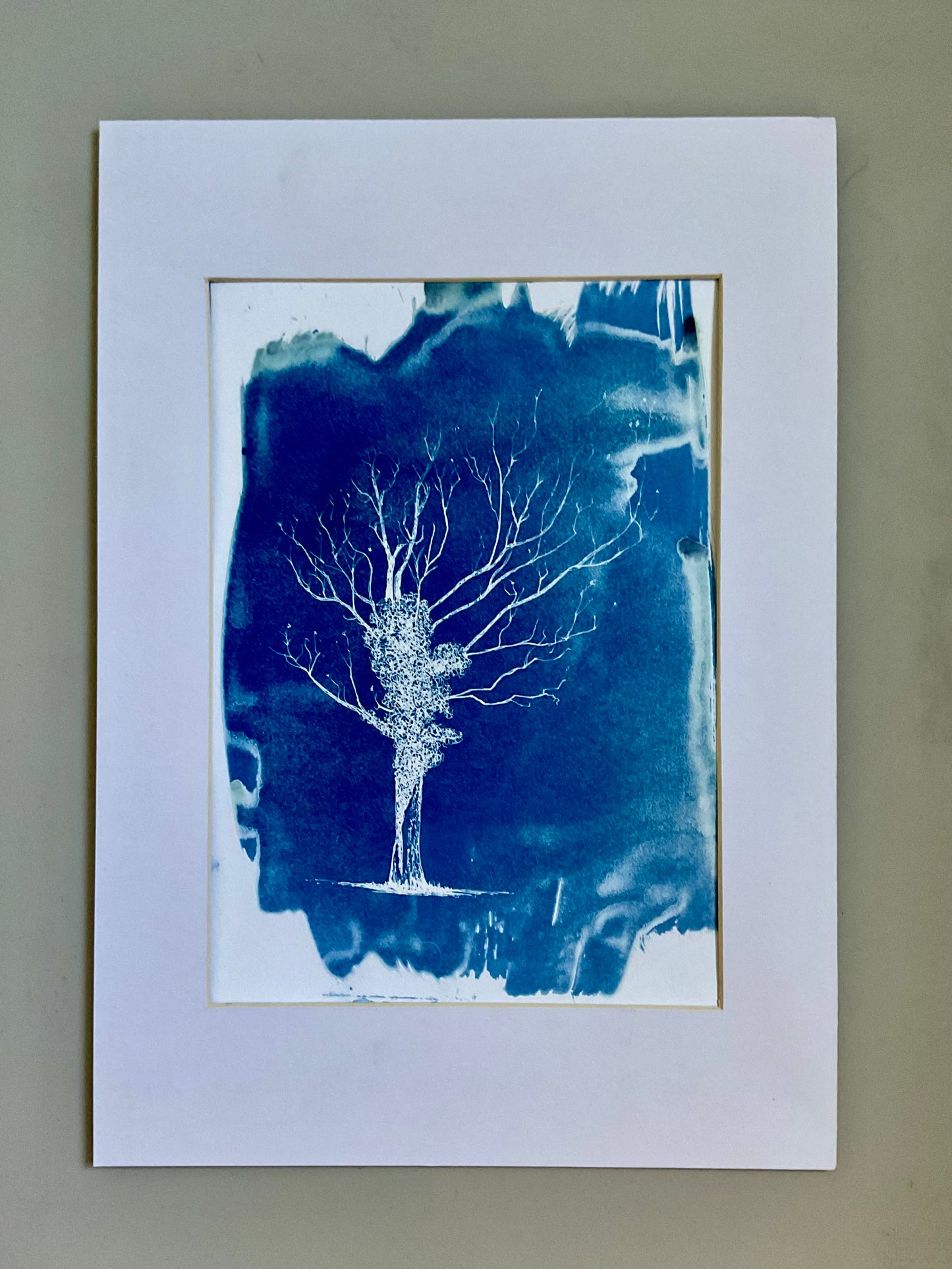 Original cyanotype print of an ivy-covered oak tree with bare branches, printed in deep Prussian blue on textured watercolour paper.