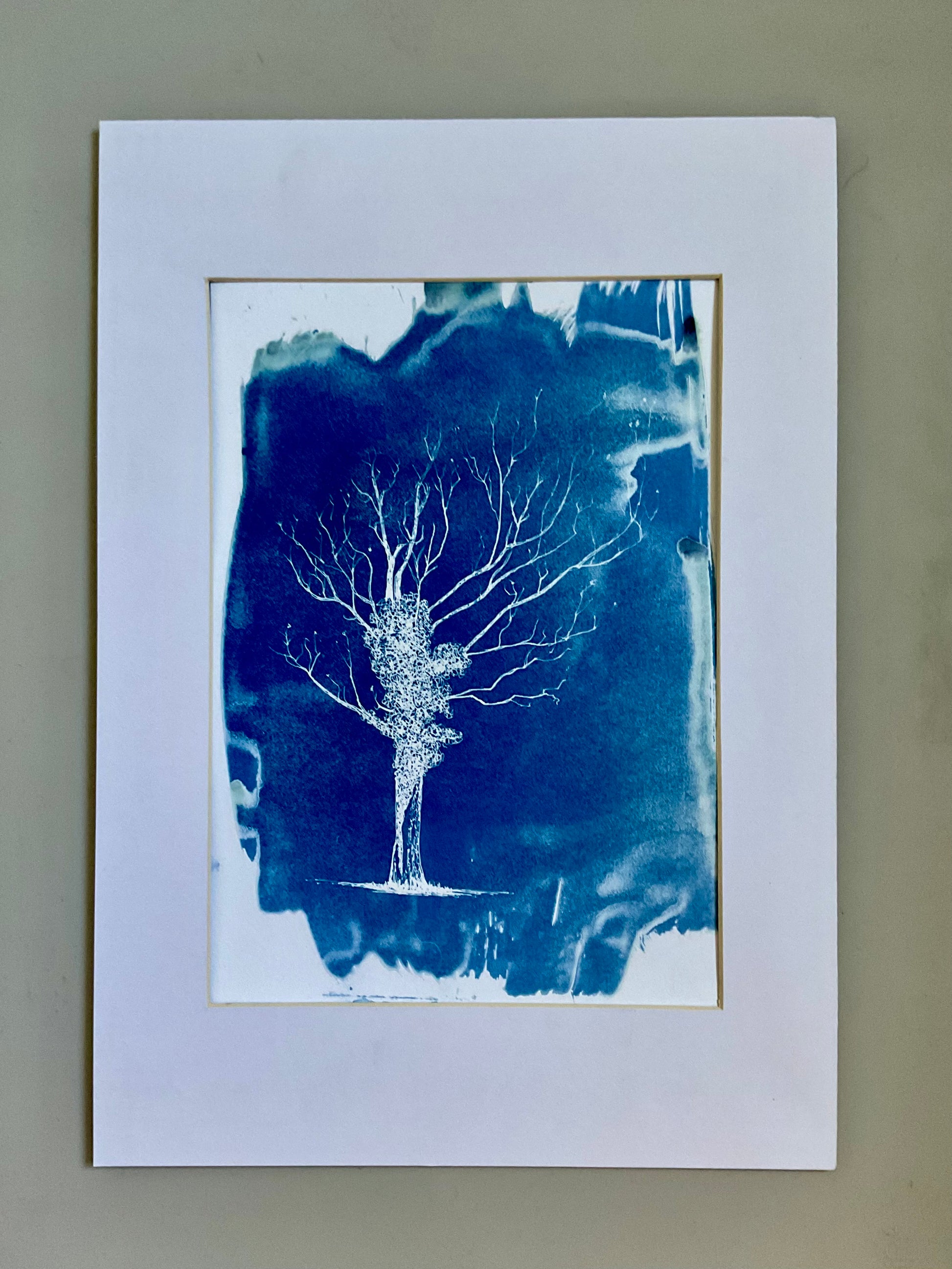 Original cyanotype print of an ivy-covered oak tree with bare branches, printed in deep Prussian blue on textured watercolour paper.