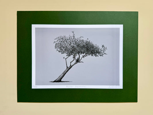 A framed botanical art print of a single tree, featuring a detailed black ink sketch on a light gray background, surrounded by a white mat and a wide dark green frame, set against a solid beige background.