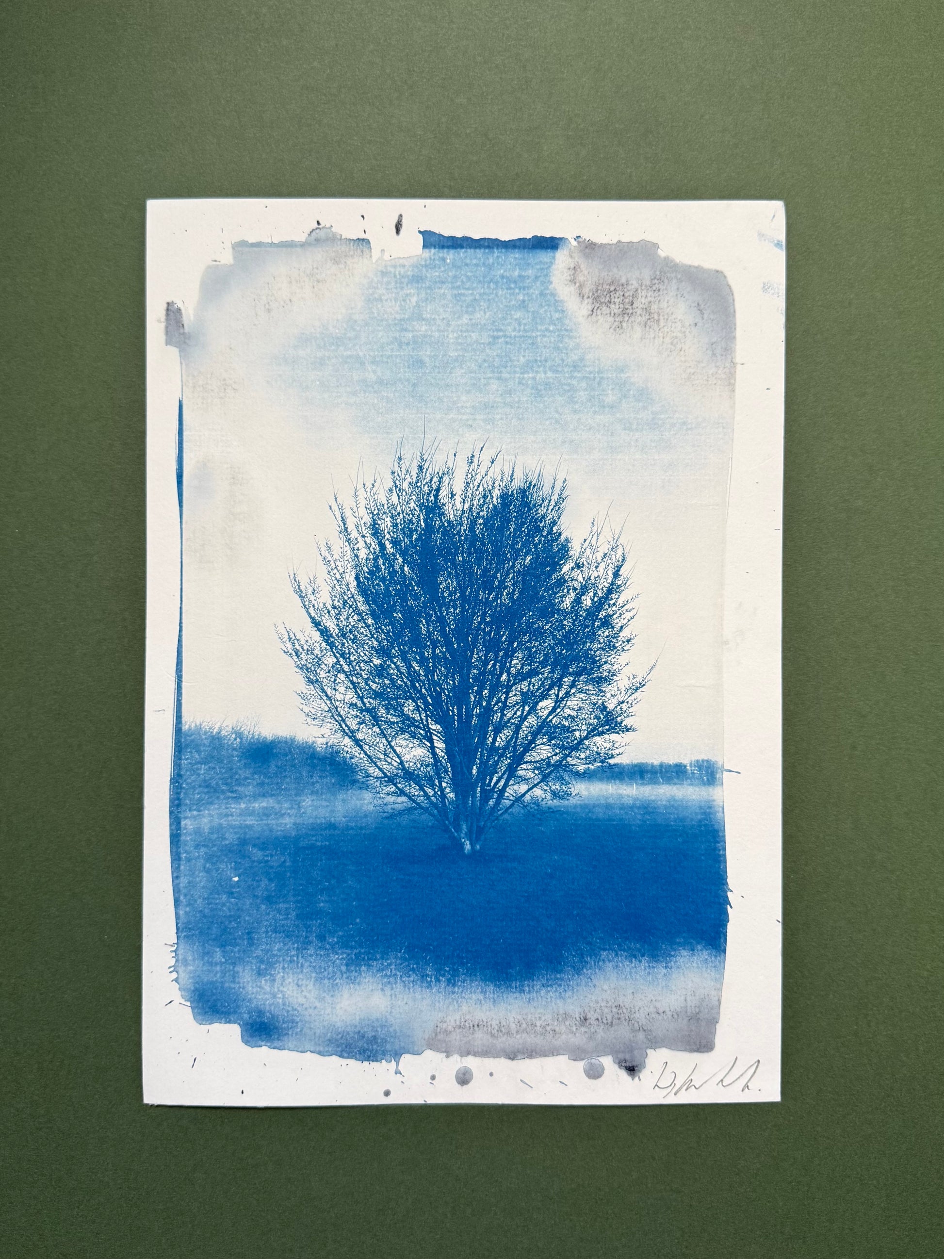 Original blue-and-white A4 cyanotype of a solitary branching tree at Hackney Marshes, signed by Warren Garland.