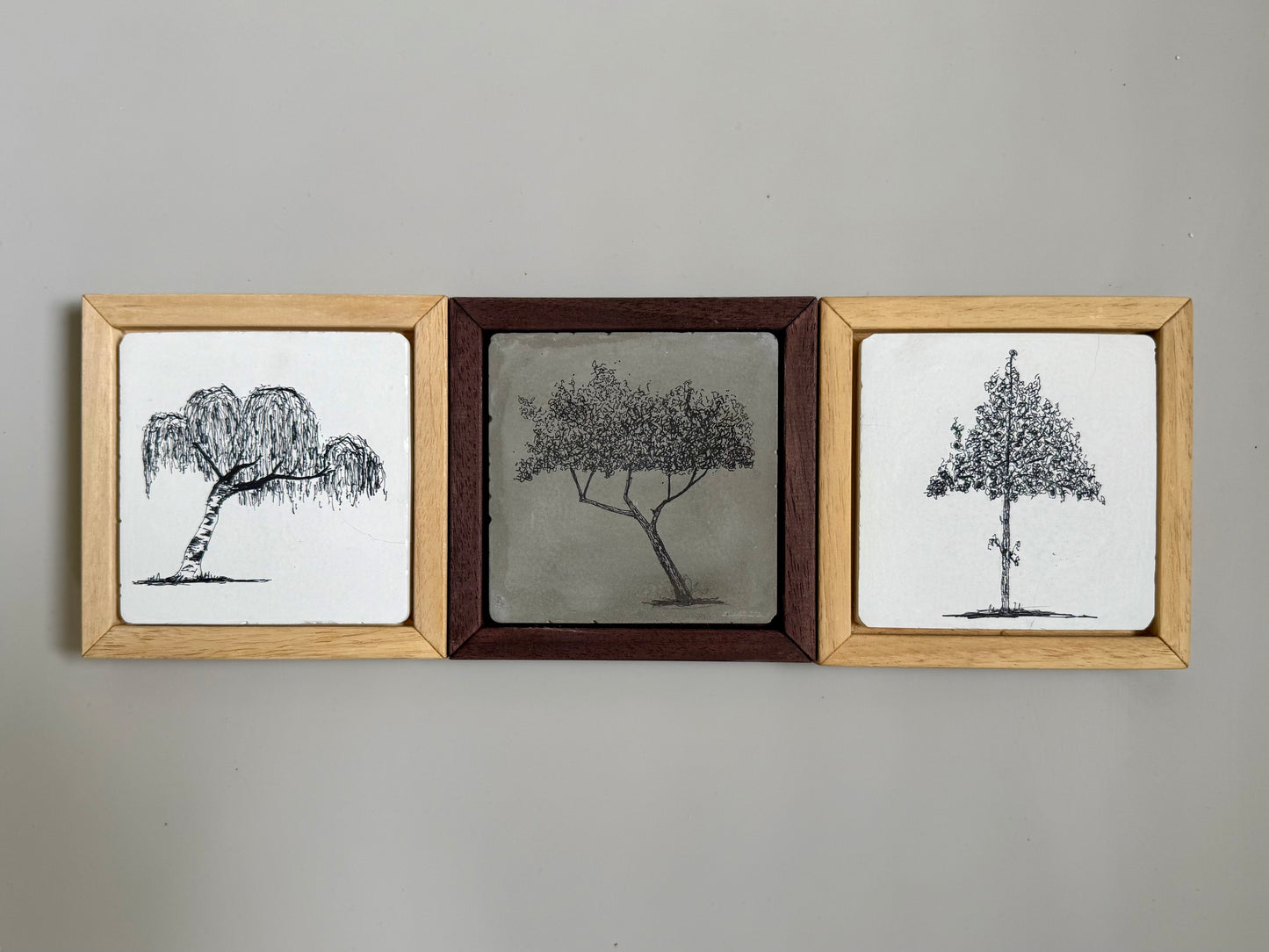 Original ink drawing of a split-form tree on cement tile in dark wooden frame by Warren Drawing Trees.