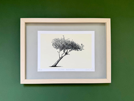 Barber Institute Tree — Framed A5 Limited Edition Giclée Print | Light Wood Frame & Grey Mount