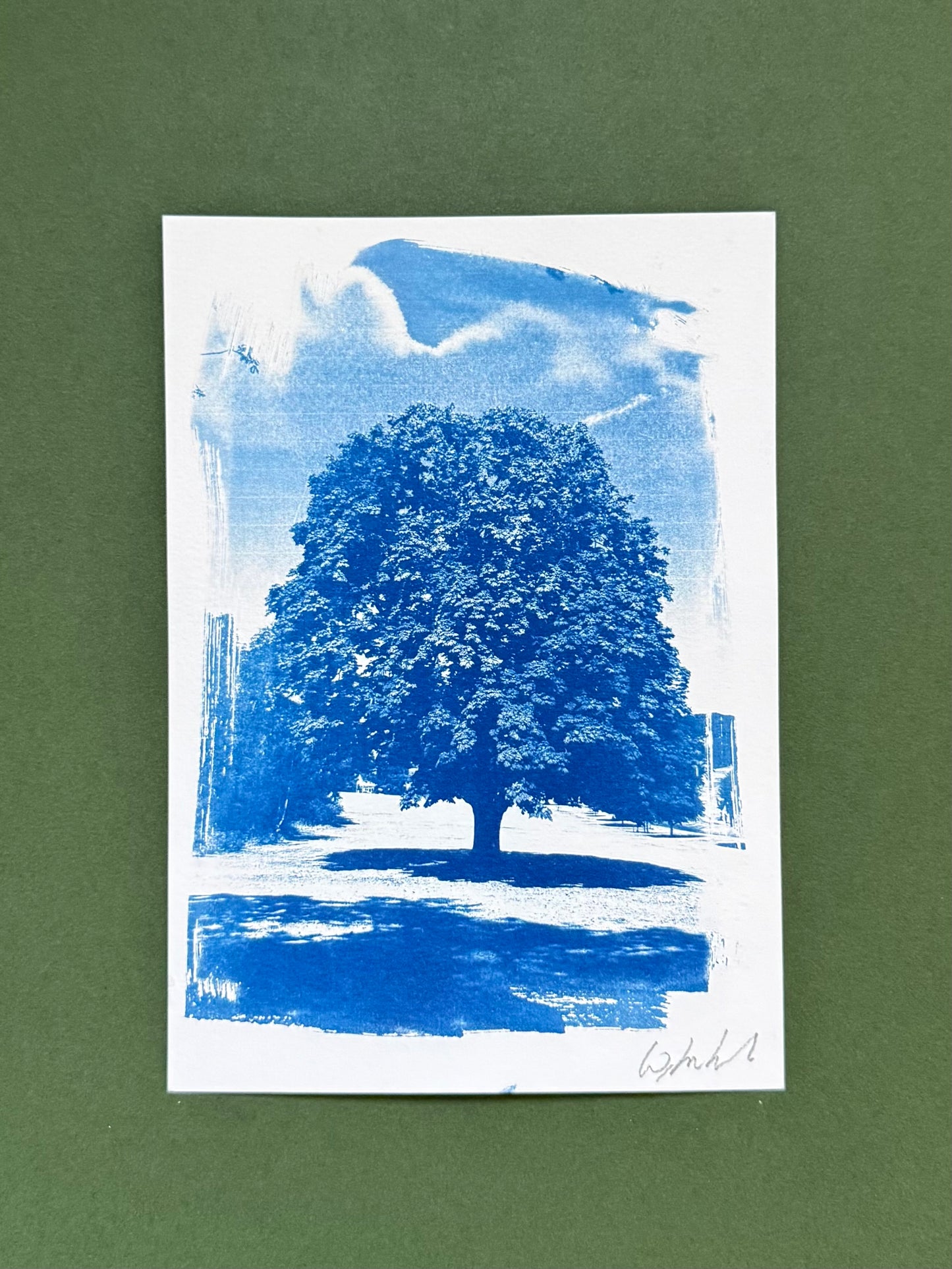 A5 Warley Woods – Original Handmade Cyanotype