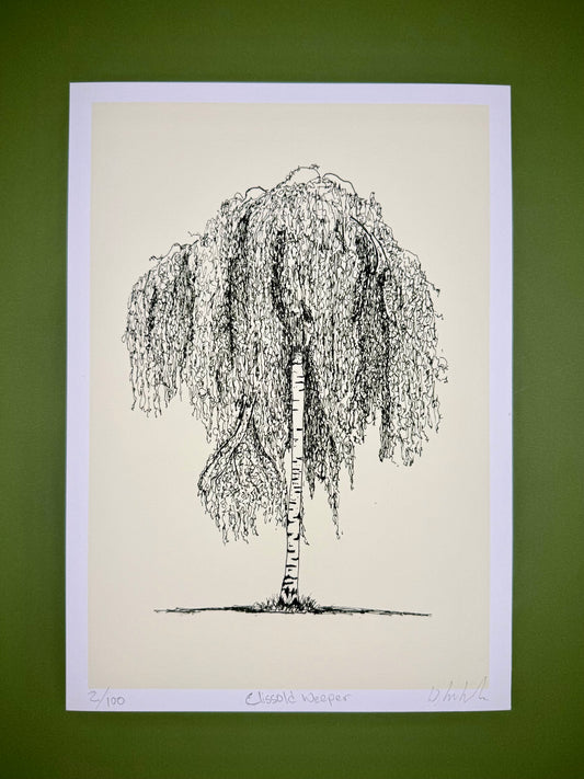 Clissold Weeper – A4 Tree Giclée Print | Limited Edition by Warren Garland