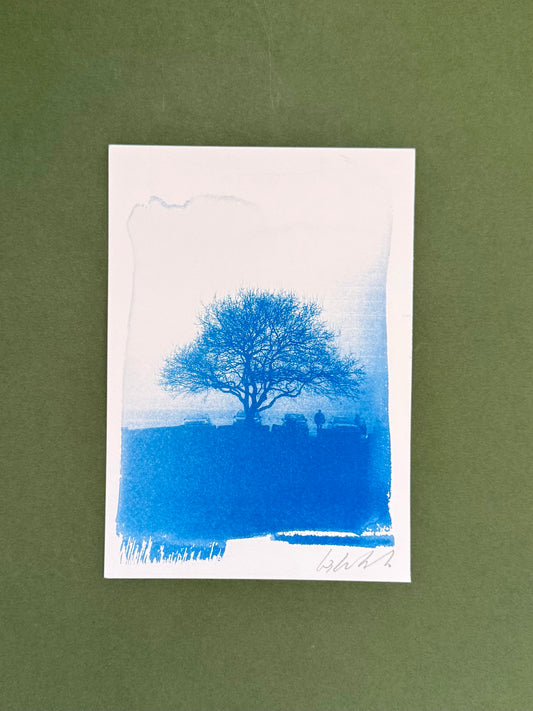 Original blue-and-white A5 cyanotype of a bare hawthorn on a misty morning at Lickey Hills, signed by Warren Garland.