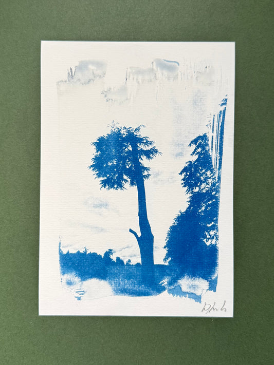 Original blue-and-white A5 cyanotype of a tall sculptural tree at Stowe Gardens, signed by Warren Garland.