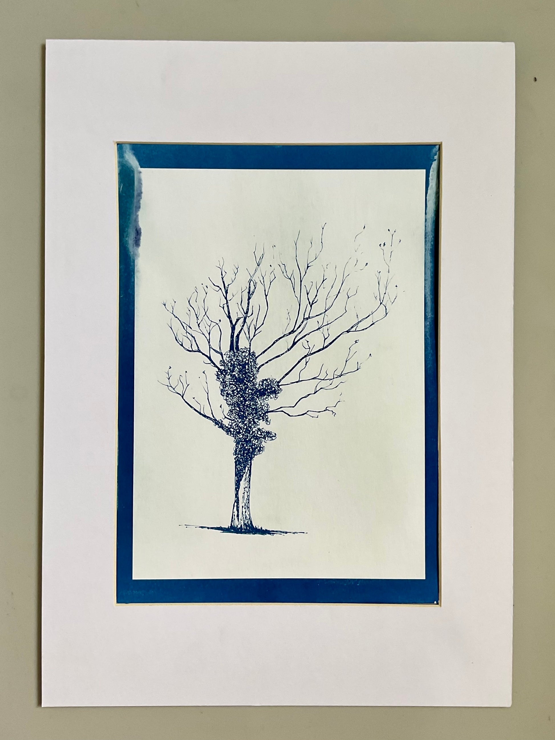 Positive cyanotype print of a bare winter oak tree wrapped in ivy, printed in deep blue on white background. Original art by Warren Drawing Trees.