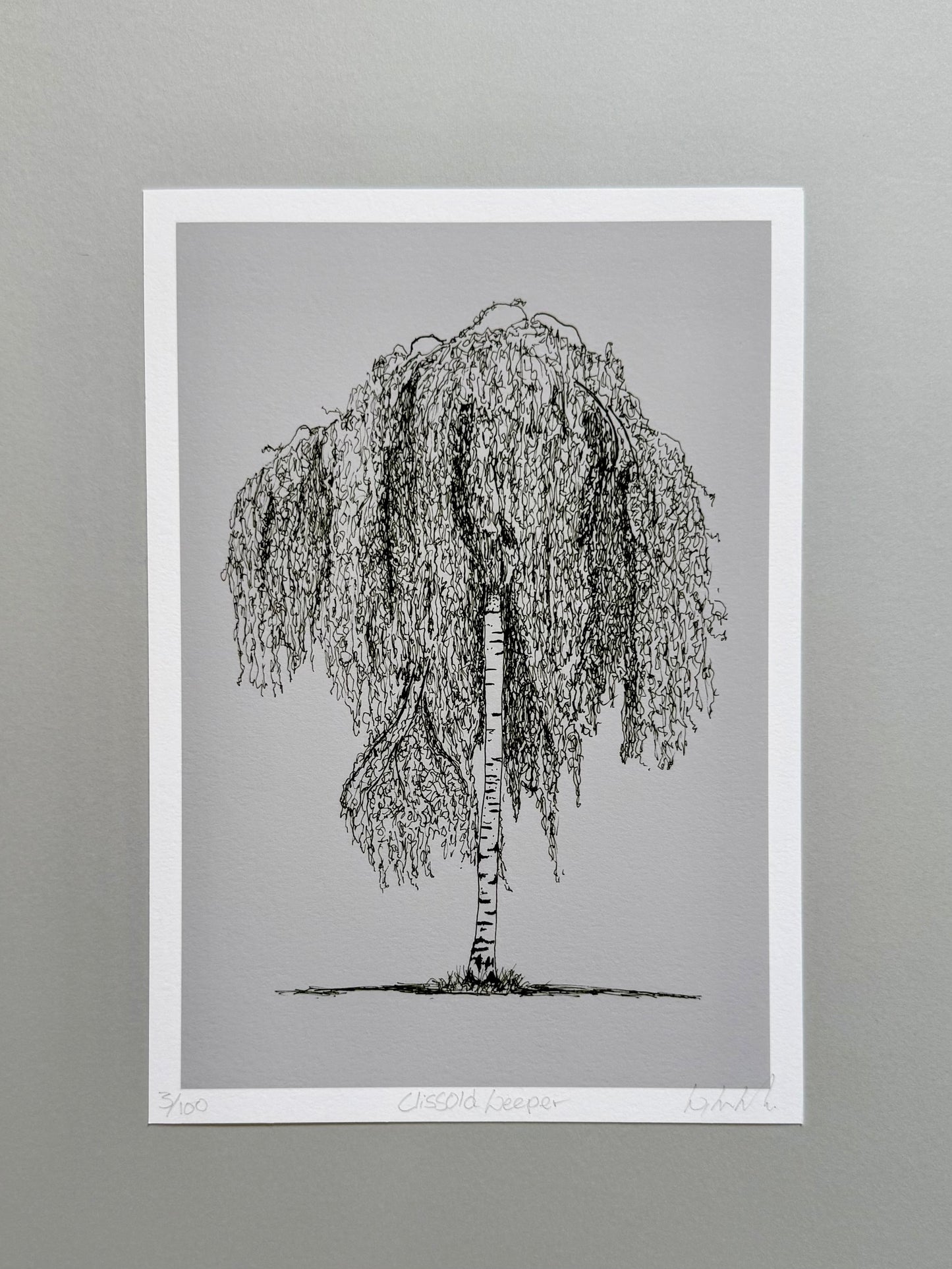 A black and white ink drawing of a weeping tree on a gray paper sheet with a white border, mounted against a neutral gray background.