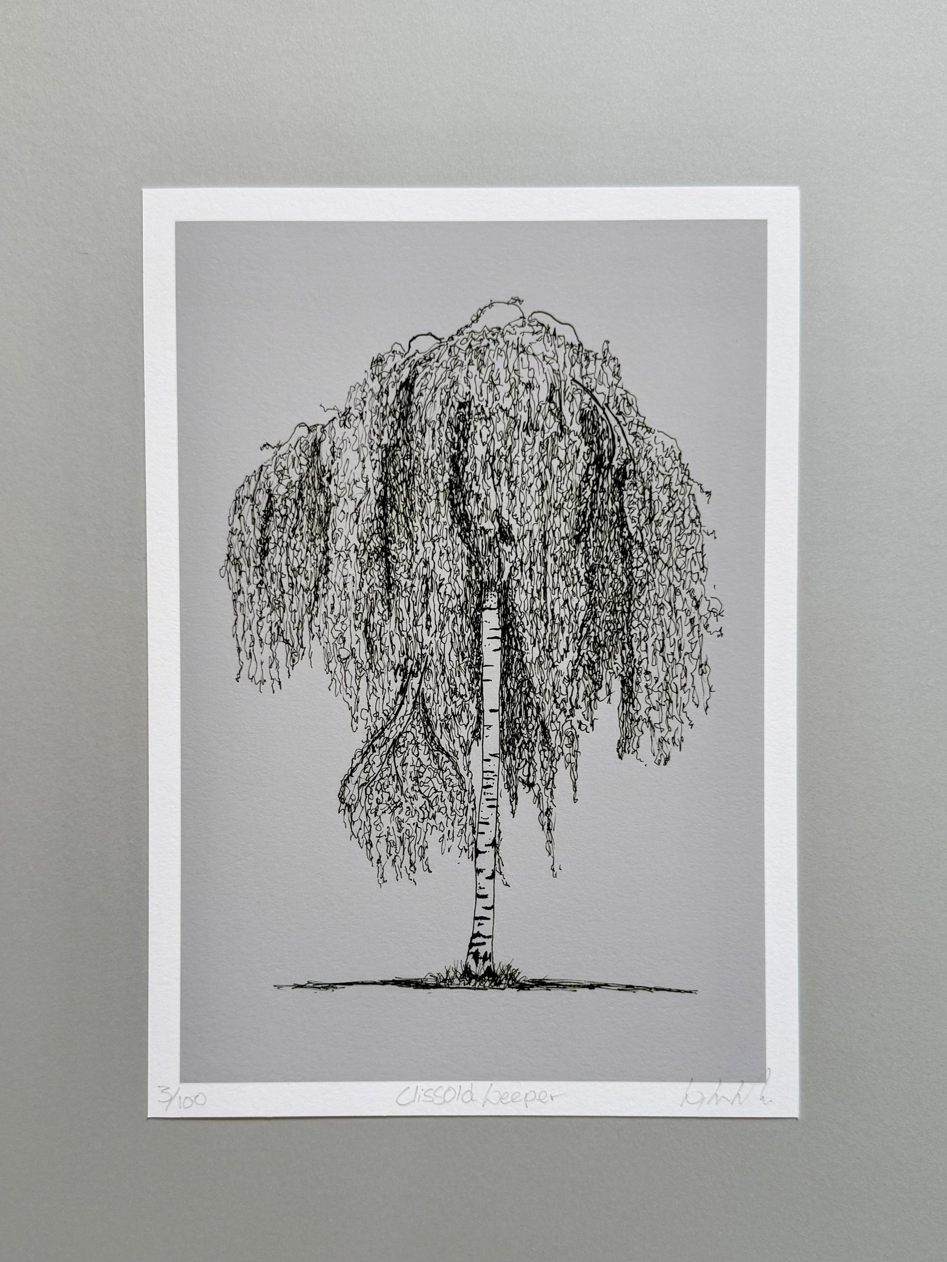 A black and white ink drawing of a weeping tree on a gray paper sheet with a white border, mounted against a neutral gray background.