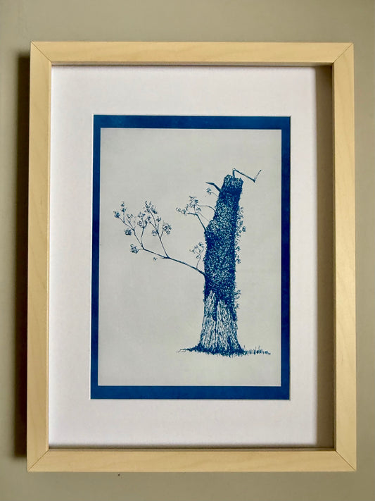 “Malvern Leaner – artist proof cyanotype test print by Warren Garland, A4, deep Prussian blue”

