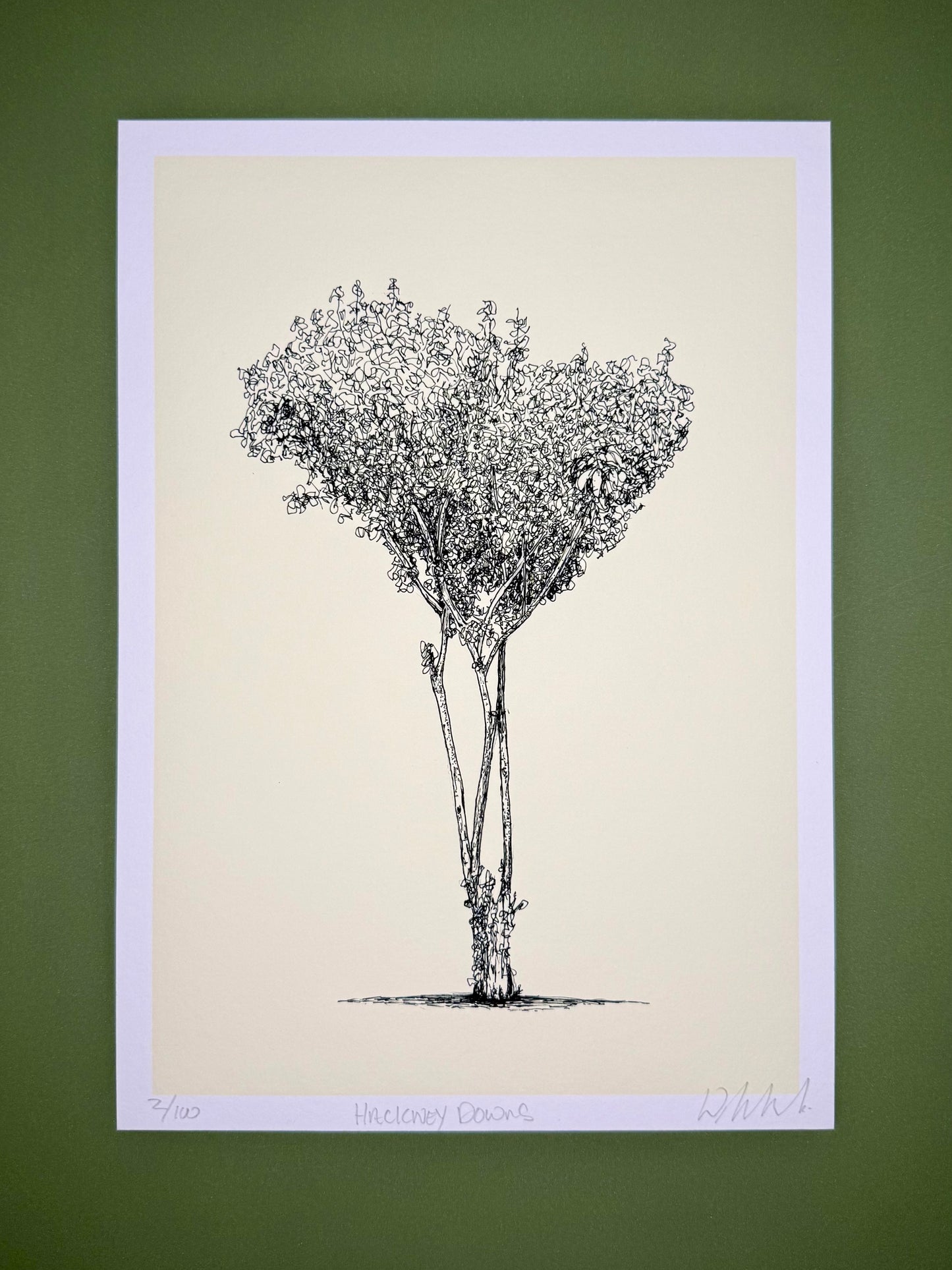 Black and white illustration of a tree on beige paper with a purple border against a green background