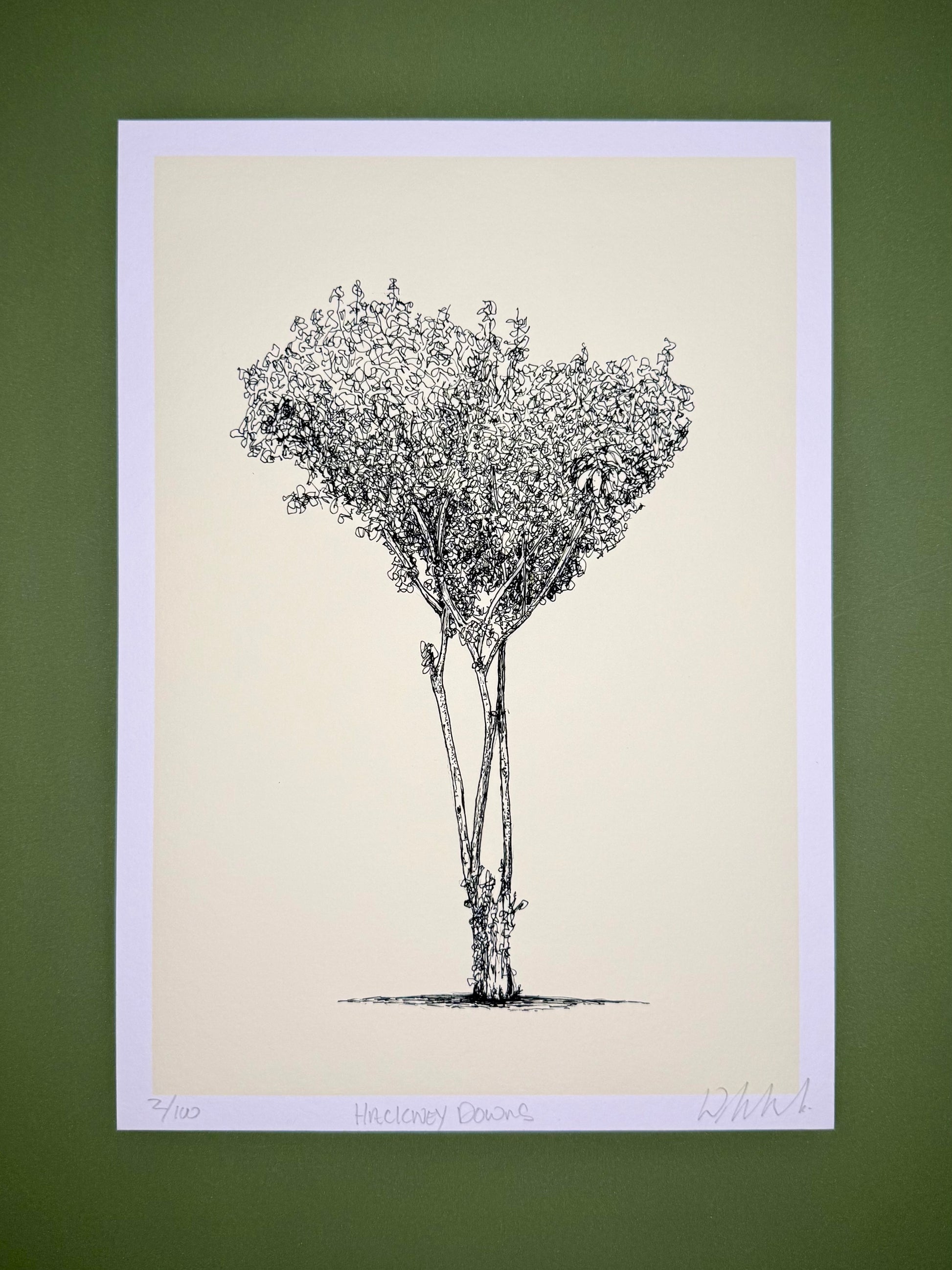 Black and white illustration of a tree on beige paper with a purple border against a green background