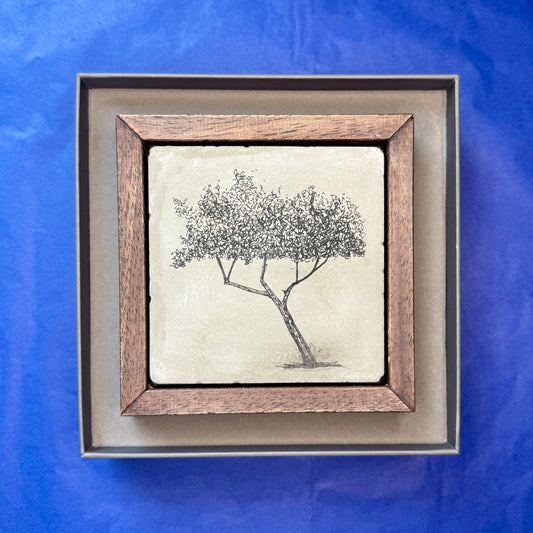 Split Form – Original Ink Drawing on Cement Tile