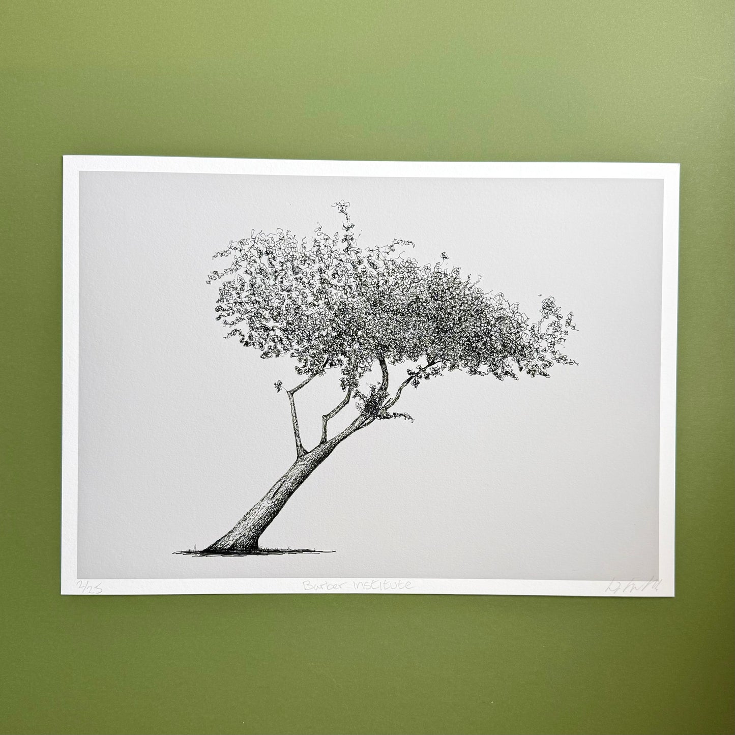 Framed black and white tree illustration on a green wall