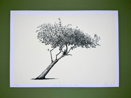 Black and white illustration of a tree on a beige background with a green border