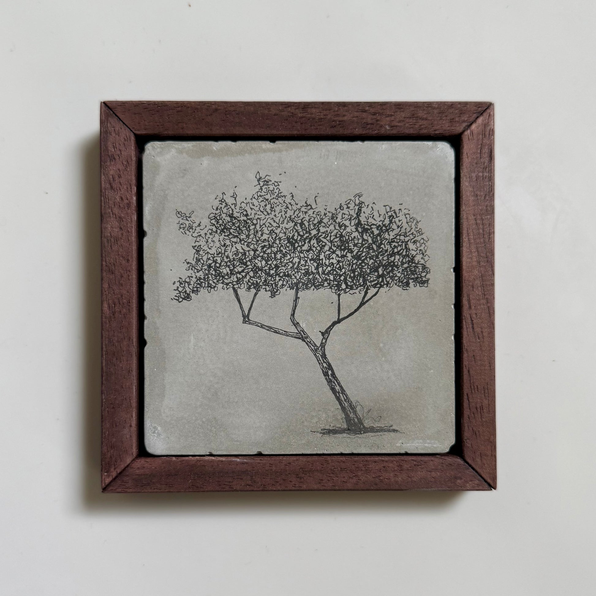 Original ink drawing of a split-form tree on cement tile in dark wooden frame by Warren Drawing Trees.