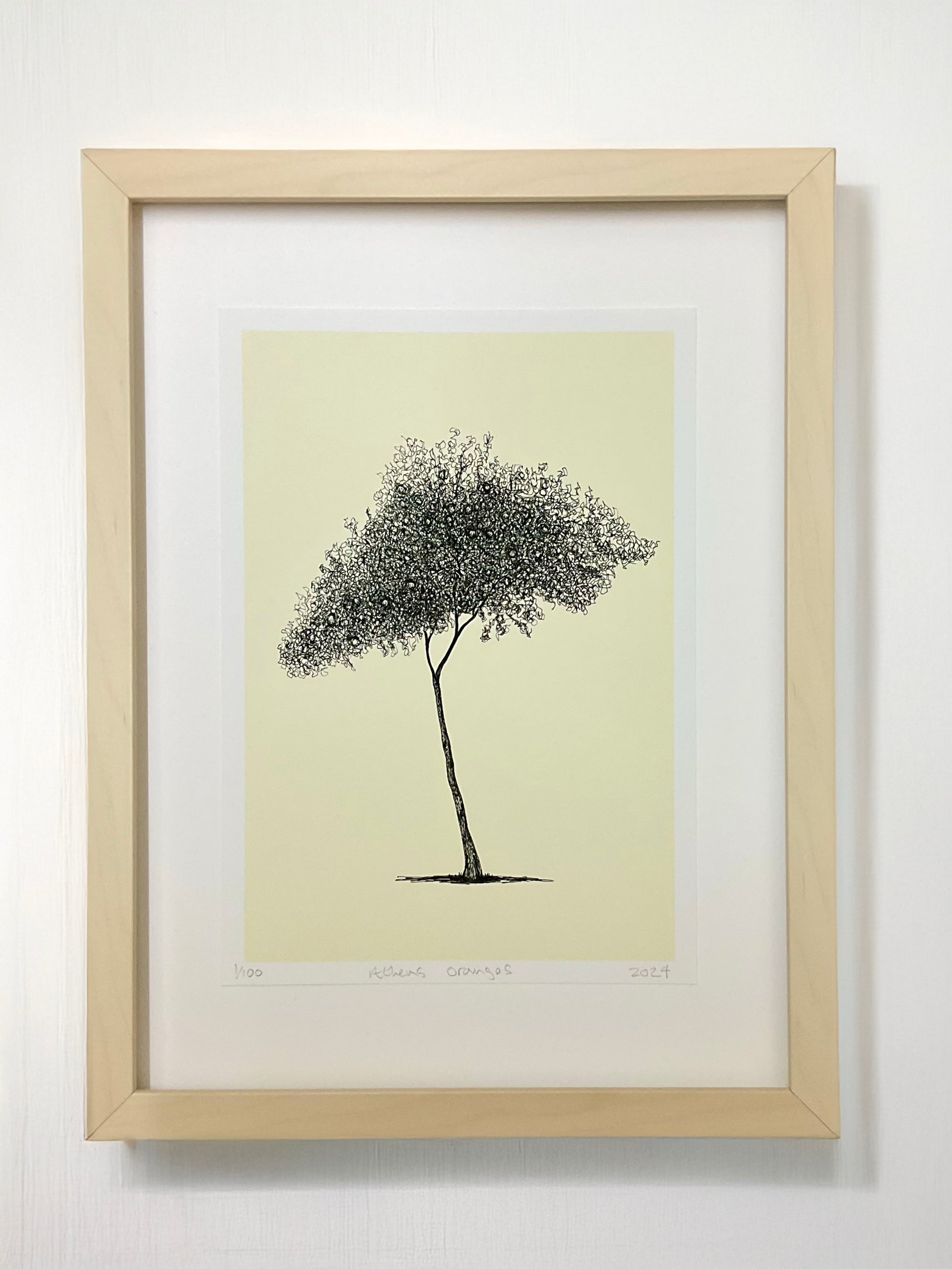	•	Athens Orange Tree – A4 limited edition giclée print by Warren Garland
	•	Citrus tree drawing from Athens – fine art print on archival paper
	•	Greek orange tree illustration – hand-drawn ink giclée print
