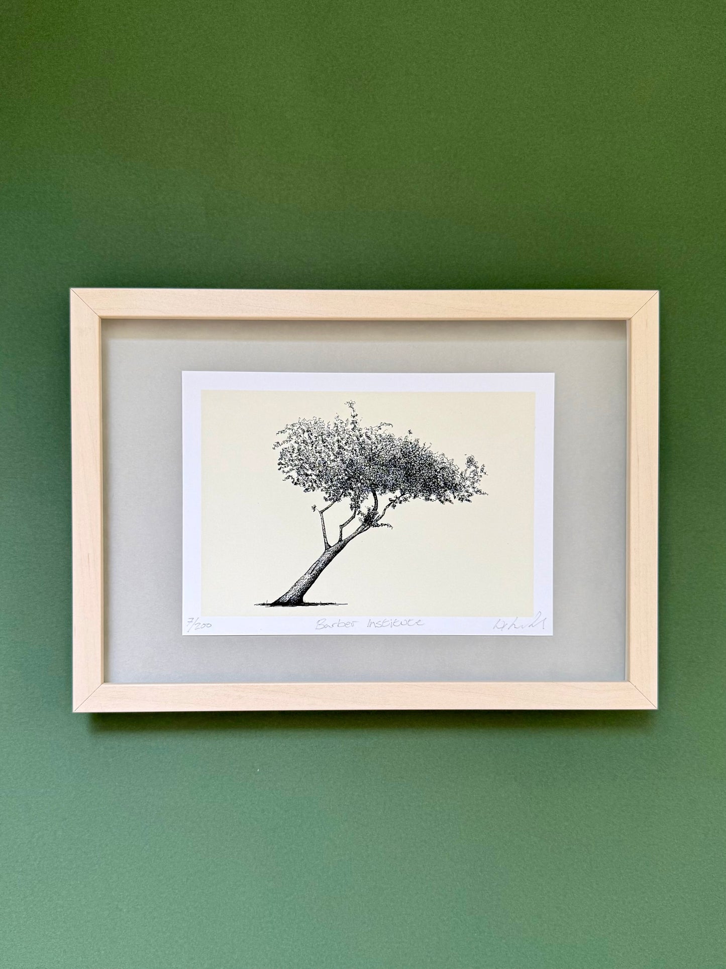 A framed botanical art print of a tree, featuring a black ink sketch on a cream paper background, mounted with a gray mat and a light natural wood frame against a solid dark green wall.