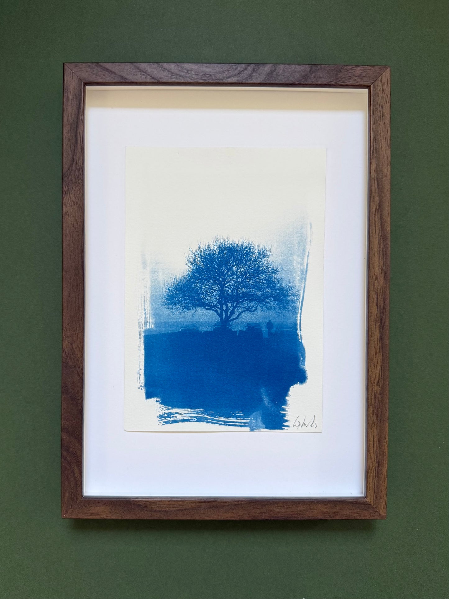 A5 Lickey Hills Hawthorn cyanotype displayed with a white mount in a dark wooden frame.