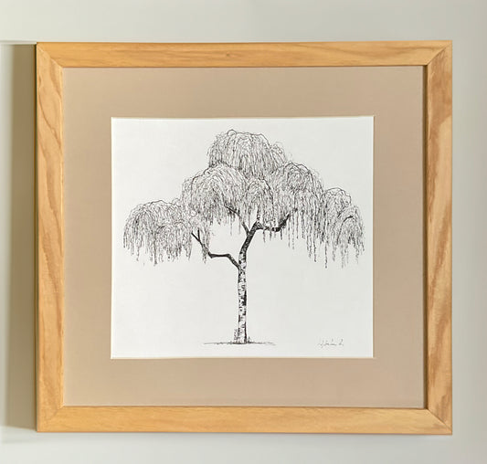 Highcliffe Silver Birch – Original Ink Drawin