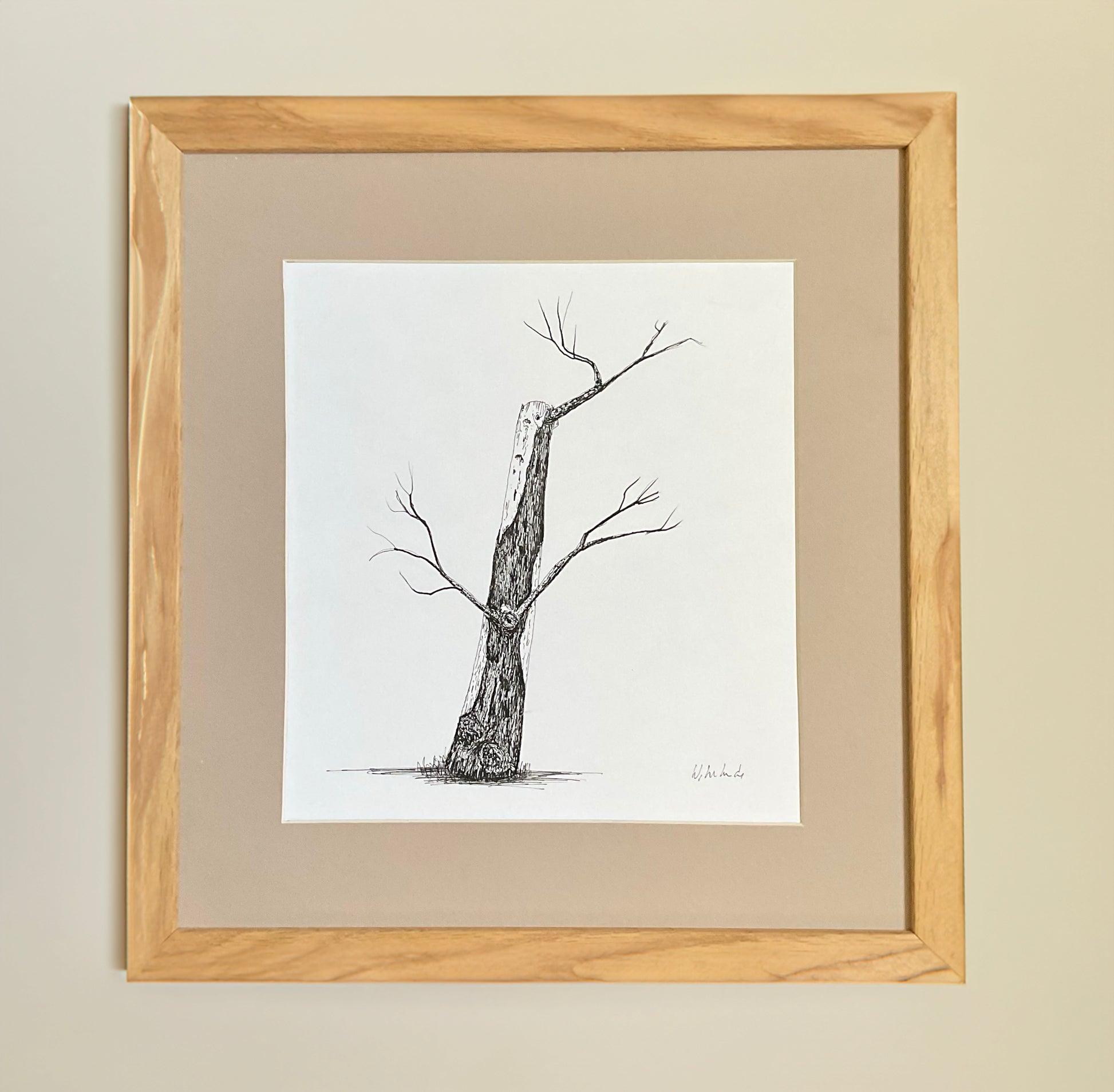 Original ink drawing of a weathered tree trunk with crooked branches, drawn in fine black pen on white paper, displayed in a cream mount.