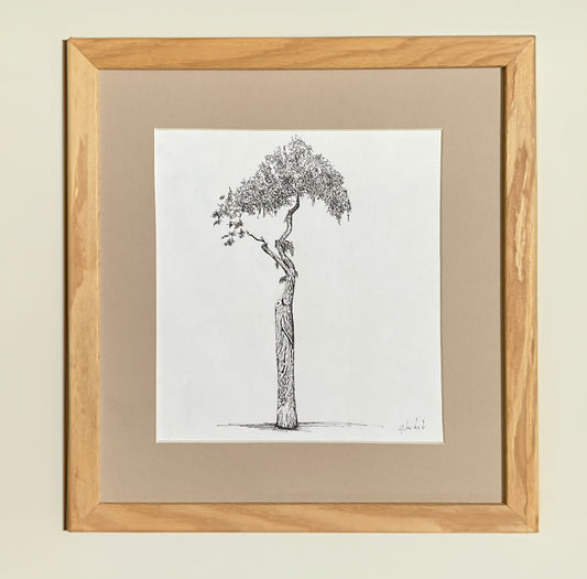 Original square ink drawing of a parasol-shaped street tree in Athens, outside the Museum of Cycladic Art. 25cm x 25cm artwork shown framed in light wood (frame not included).