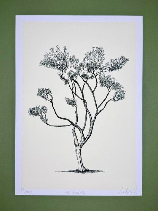 Saint Paul’s – A4 Limited Edition Tree Giclée Print