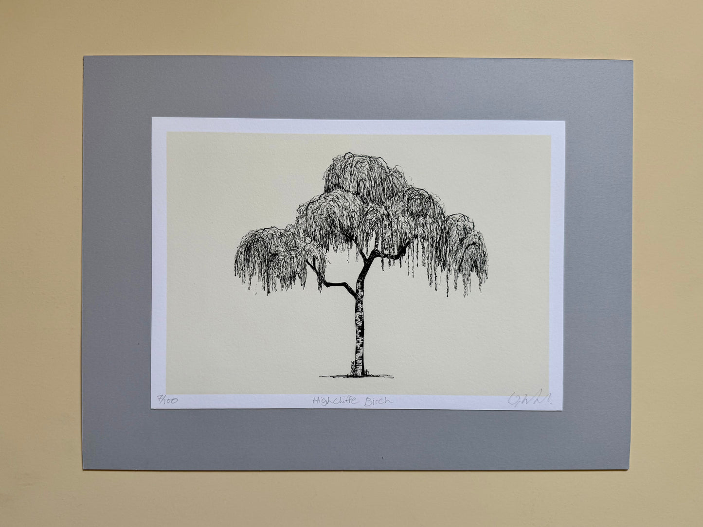 Highcliffe Silver Birch – A4 Limited Edition Giclée Prin