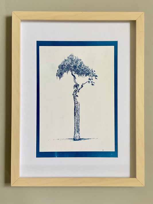 Framed cyanotype of the Athens Parasol Tree in positive — a deep blue tree on a light background, handmade using traditional sun-exposed cyanotype printing.