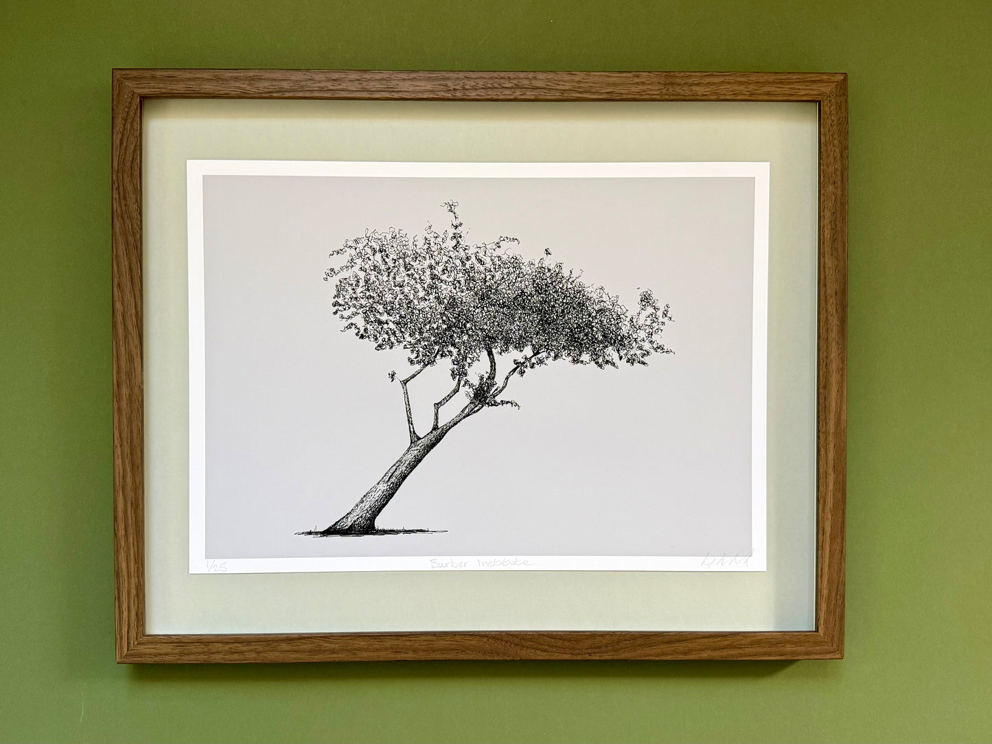 Framed black and white tree illustration on a green wall