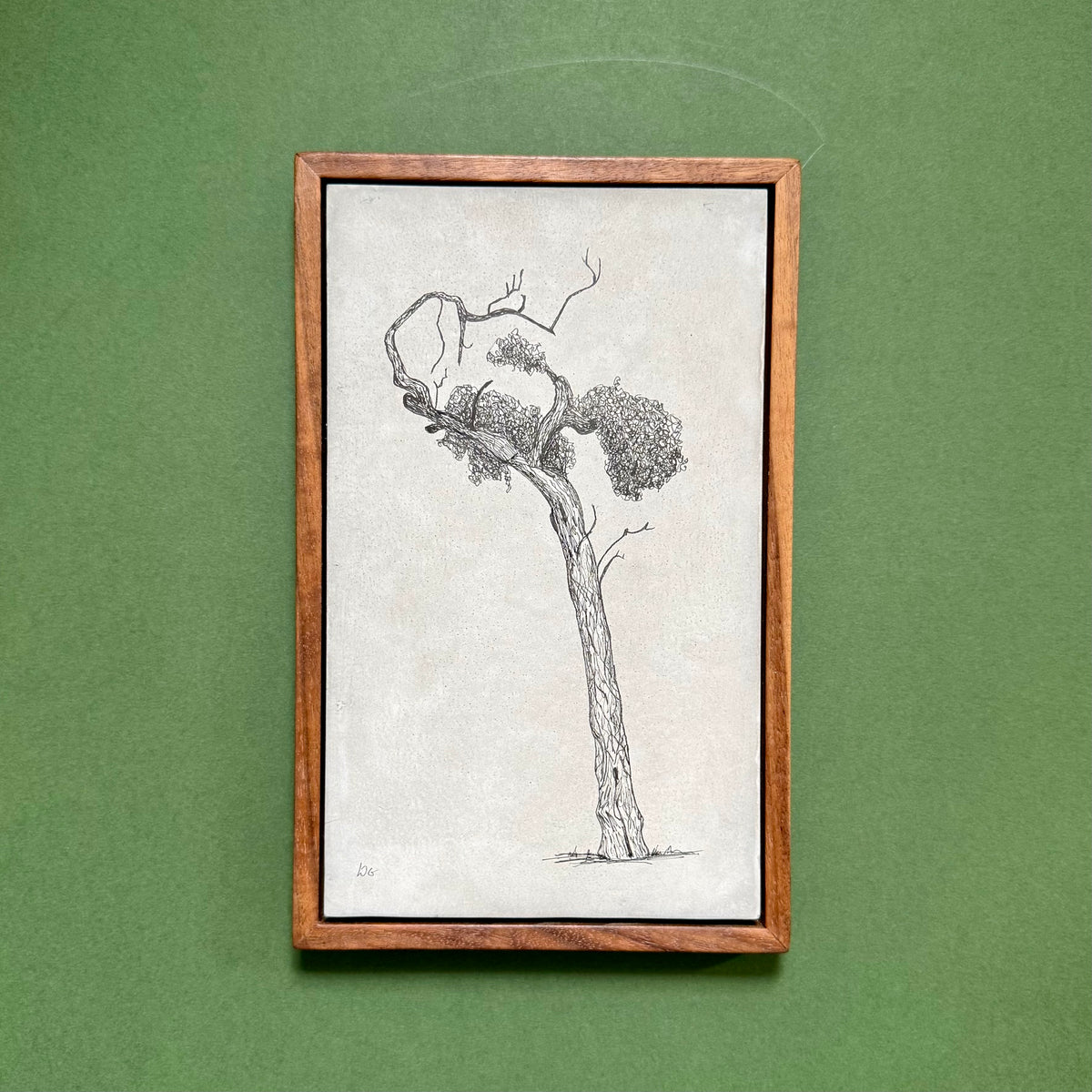 Original ink drawing of a tree in Athens on a hand-cast cement slab, displayed in a solid black walnut frame against green.